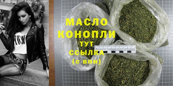 мдпв Горняк