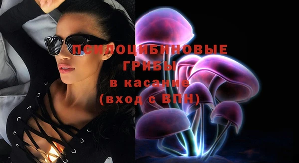 мдпв Горняк