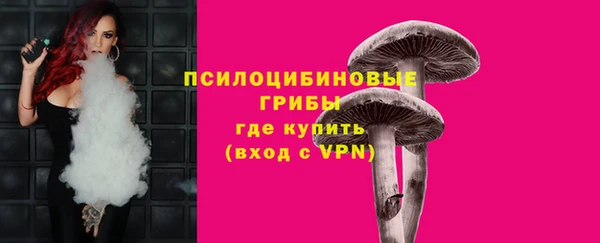 бошки Горнозаводск
