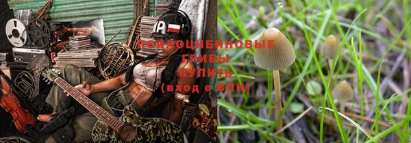 бошки Горнозаводск