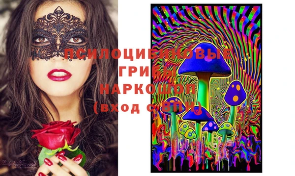 мдпв Горняк