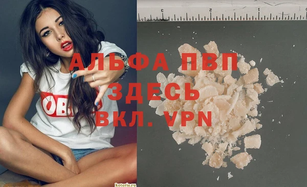 2c-b Новозыбков